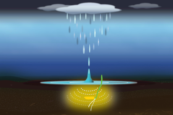 1777508023909383.png 图片1.png